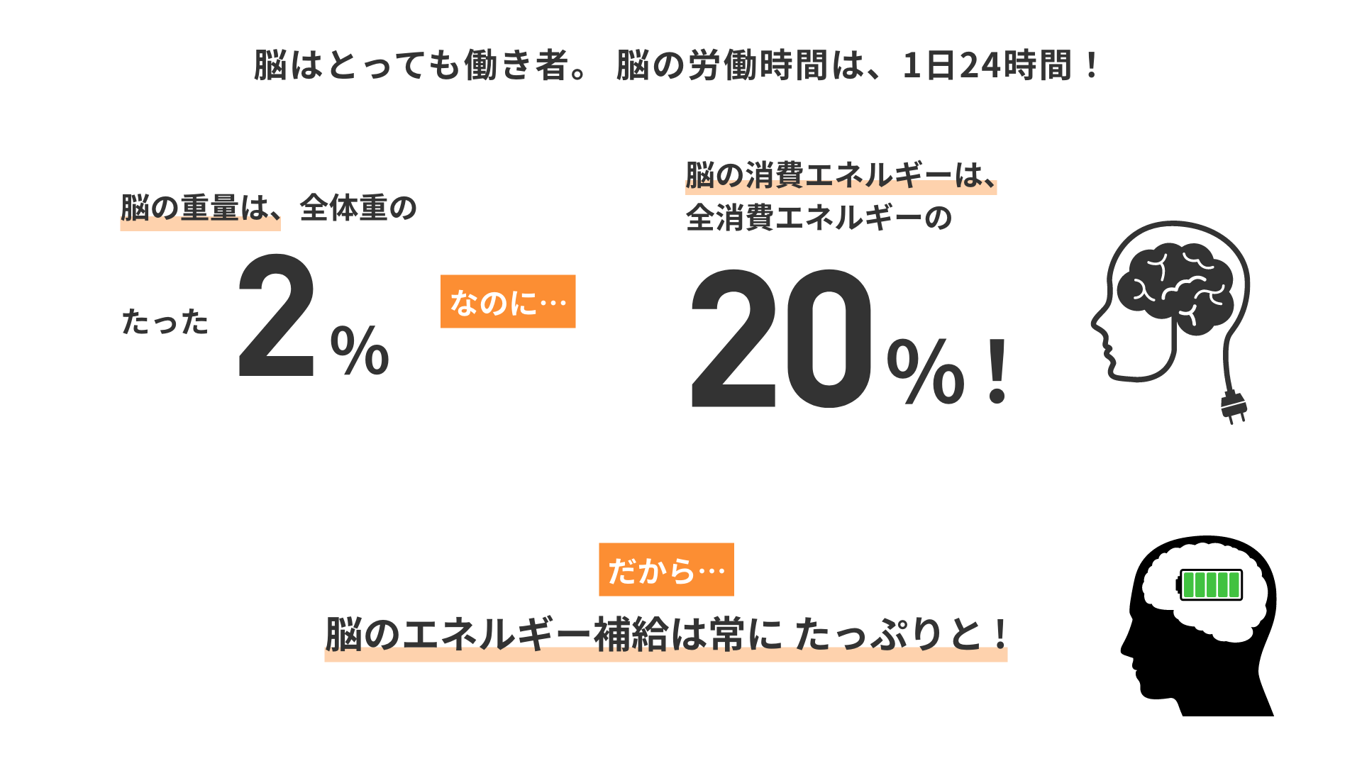 脳はとっても働き者 脳の労働時間は、1日24時間！