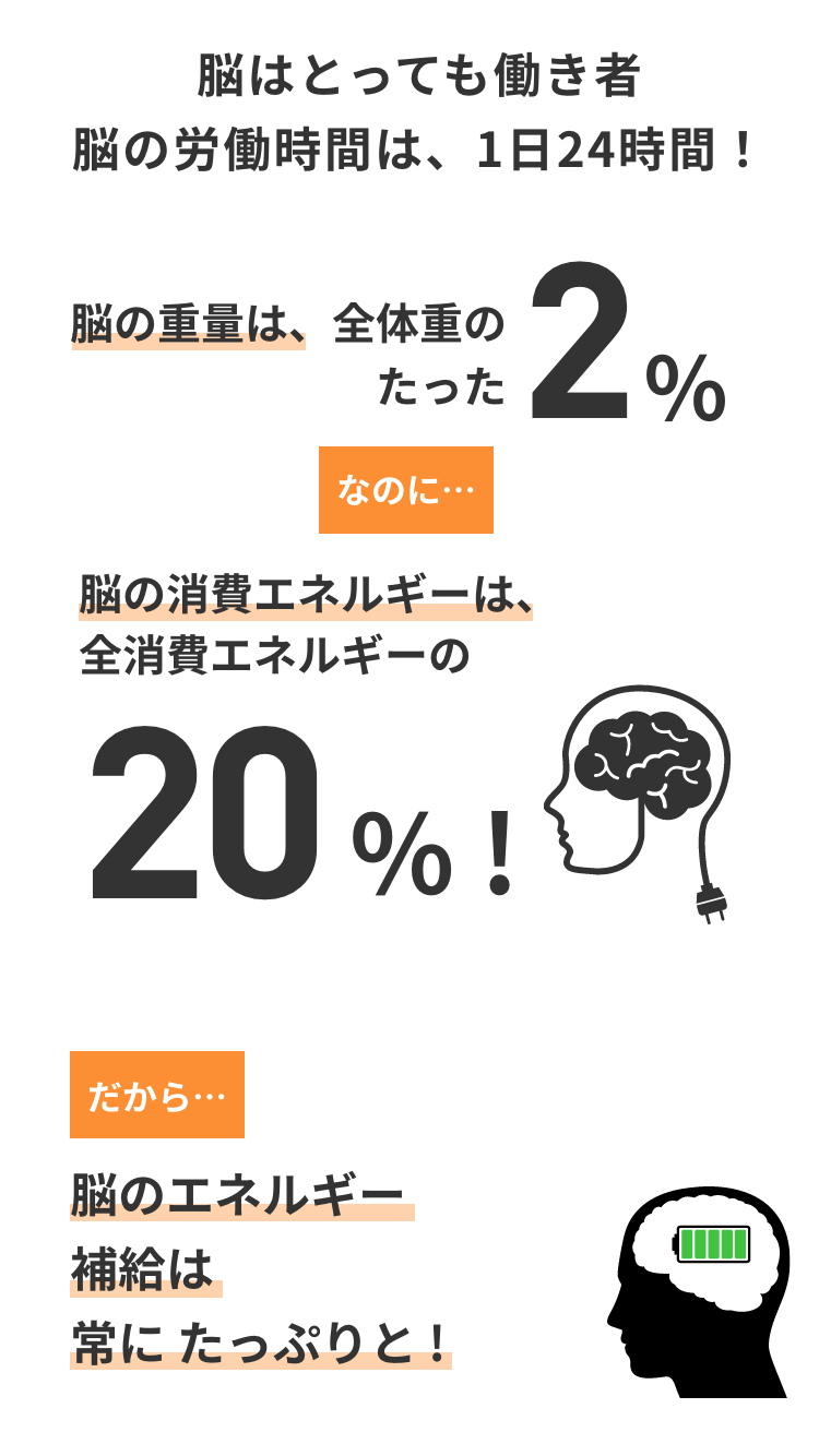 脳はとっても働き者 脳の労働時間は、1日24時間！