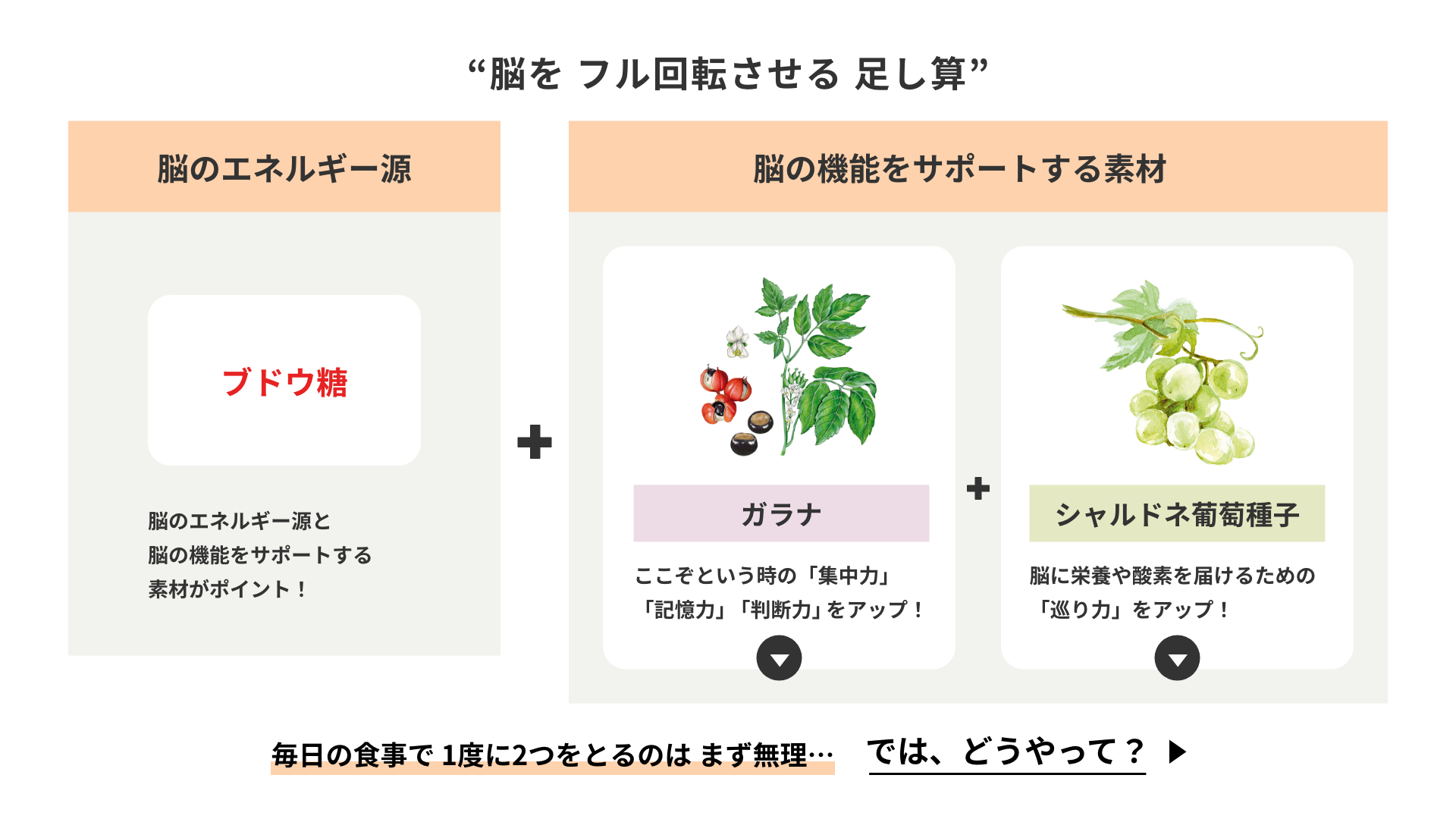 脳のエネルギー補給が大切！