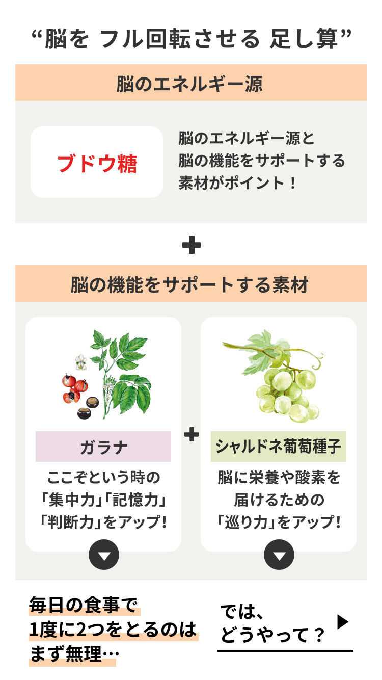 脳のエネルギー補給が大切！
